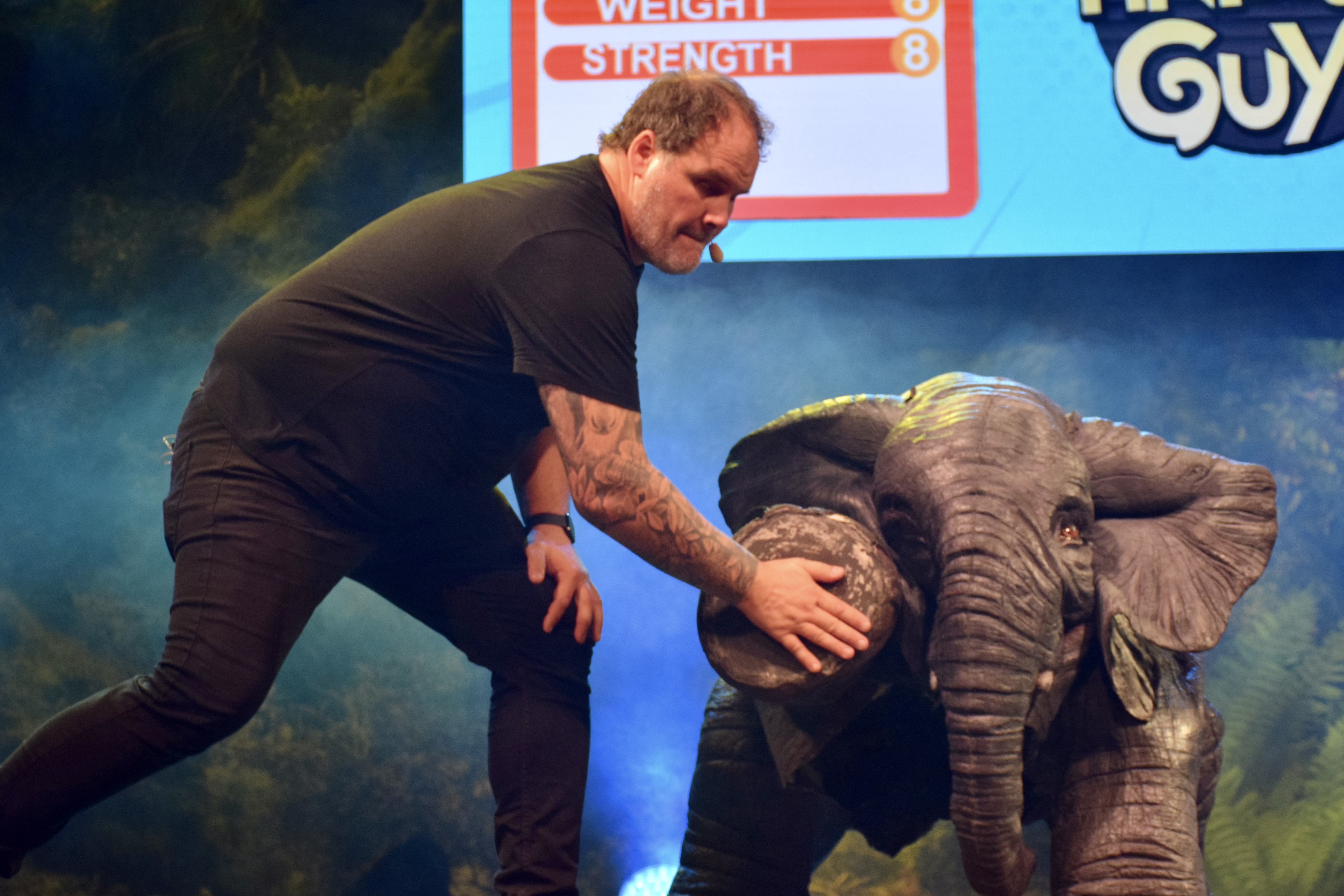 Amazing Animals featuring an elephant