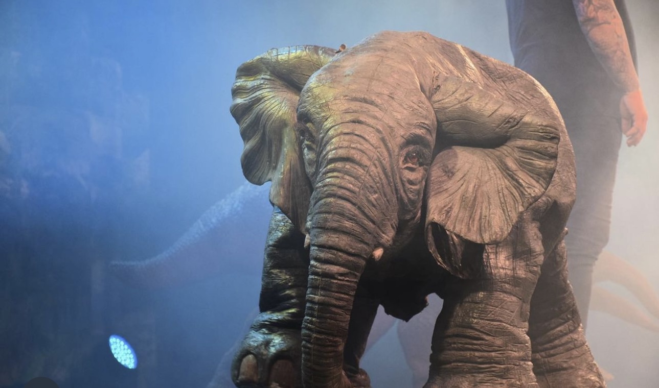 Amazing Animals featuring an elephant