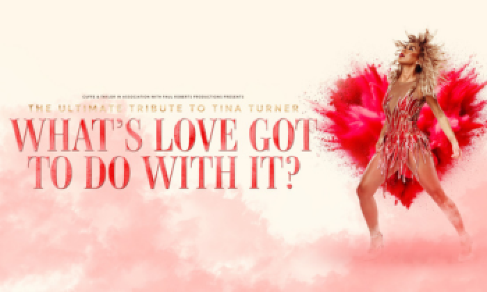 Promotional banner for the theatre stage show What’s Love Got To Do With It? featuring the red logo and a red tribute to Tina Turner on the right hand side. 